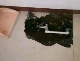 深州卫生间测漏水多少钱